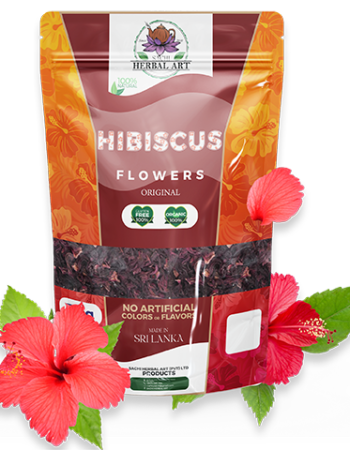 Slider - Hibiscus 1