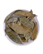Dried Soursop Leaves - Image 4