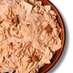 Dried White Lotus | Nelumbo nucifera