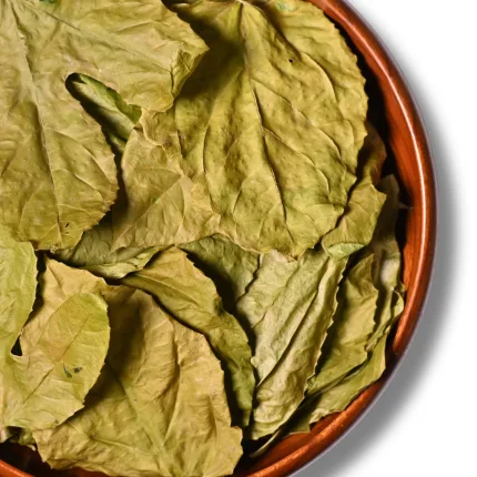 Premium Organic Passion Leaves | Passiflora incarnata