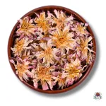 Premium Dried White Water Lily (Nymphaea alba) - Image 2