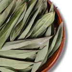 Premium Dried Ceylon Cinnamon Leaves